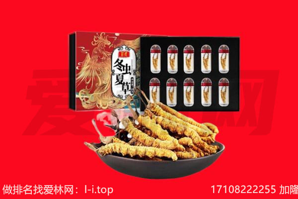 大理州南涧回收虫草.jpg